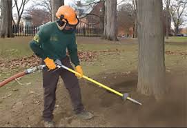 Aerial Precision: Mastering Soil Aeration with Airspade Technology